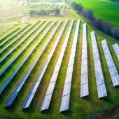 Aerial view of a solar farm with multiple rows of solar panels on a grassy field surrounded by trees and a road.
