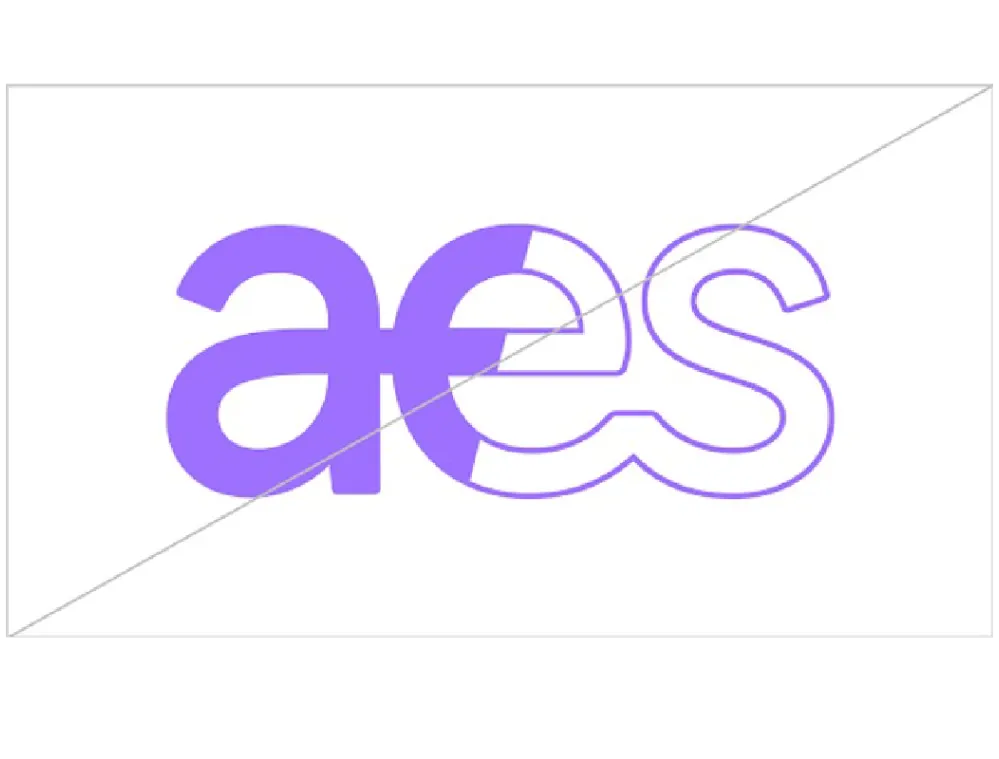 logo-incorrect-3